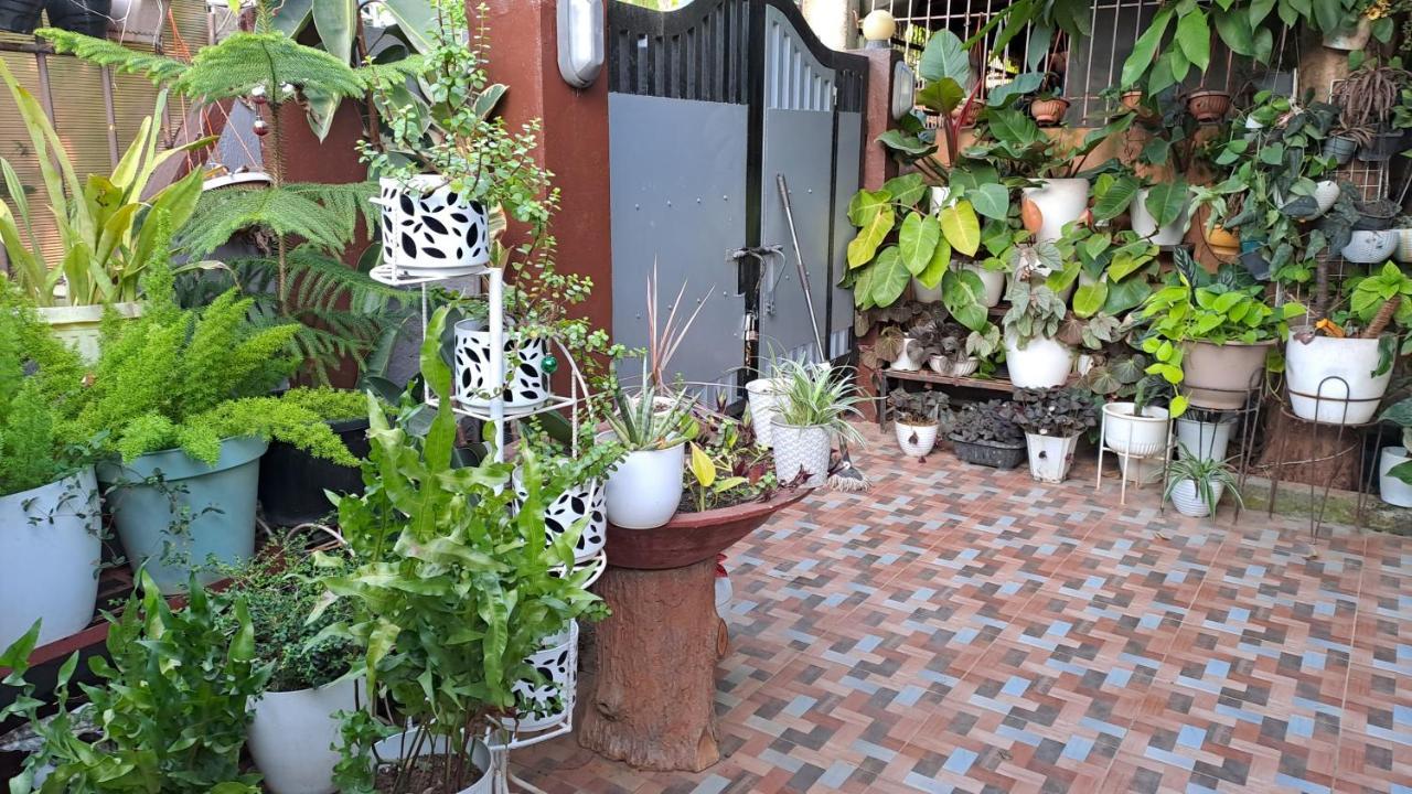 Dalinda'S Homestay Puerto Princesa Extérieur photo