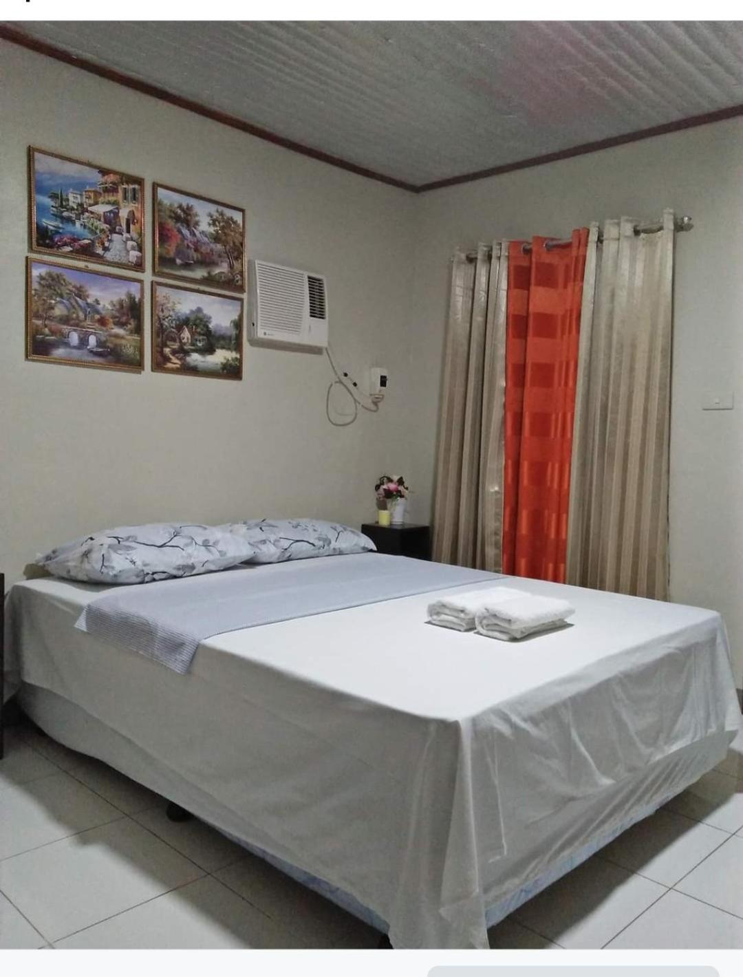 Dalinda'S Homestay Puerto Princesa Extérieur photo